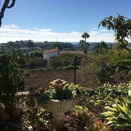 Charo * 에스테포나