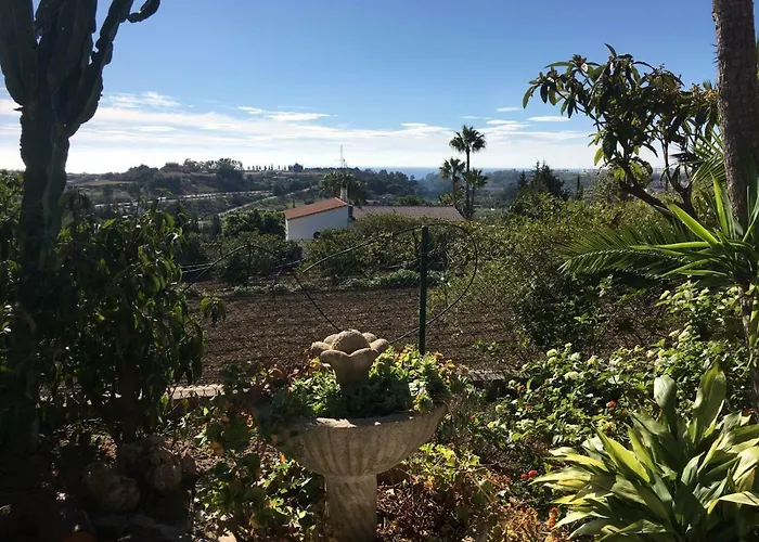 Charo * 에스테포나